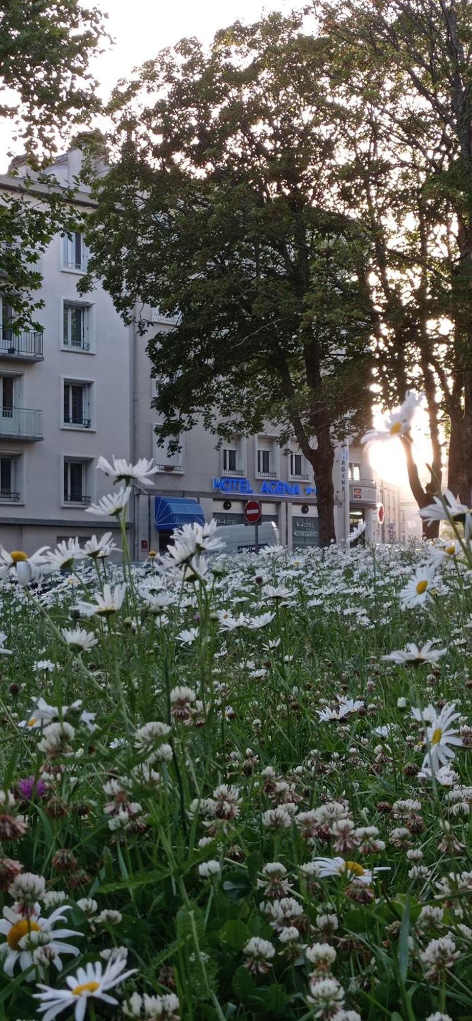 Hotel Agena Brest Dış mekan fotoğraf